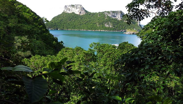 Parque Nacional Marino Angthong - Excursión por la costa - Foto 2